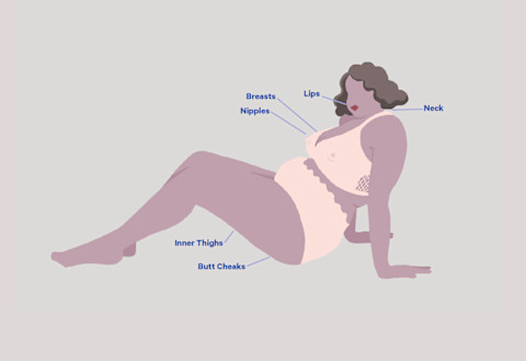 A diagram of various erogenous zones. A diagram of various erogenous zones.