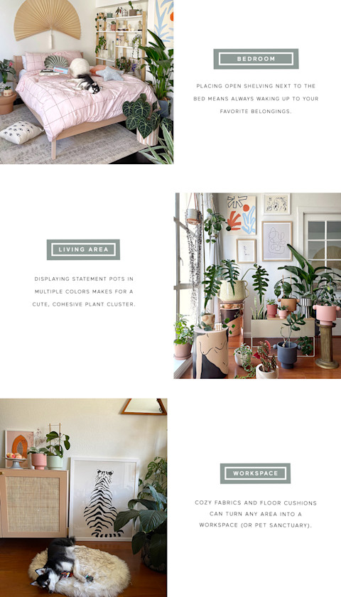 primer on how to recreate the look of Donovan Ho's house. primer on how to recreate the look of Donovan Ho's house.