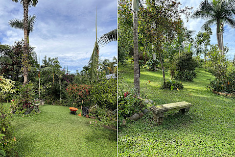 puerto vallarta botanical gardens puerto vallarta botanical gardens