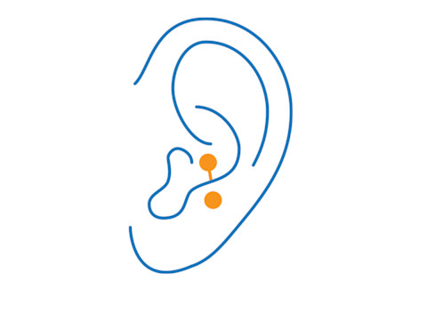 anti-tragus piercing anti-tragus piercing