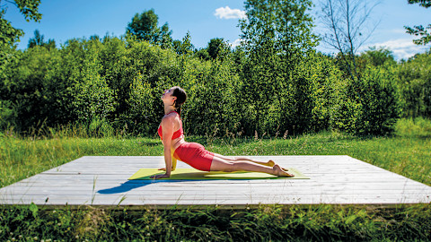 Upward-Facing Dog Pose (Urdhva Mukha Svanasana) Upward-Facing Dog Pose (Urdhva Mukha Svanasana)