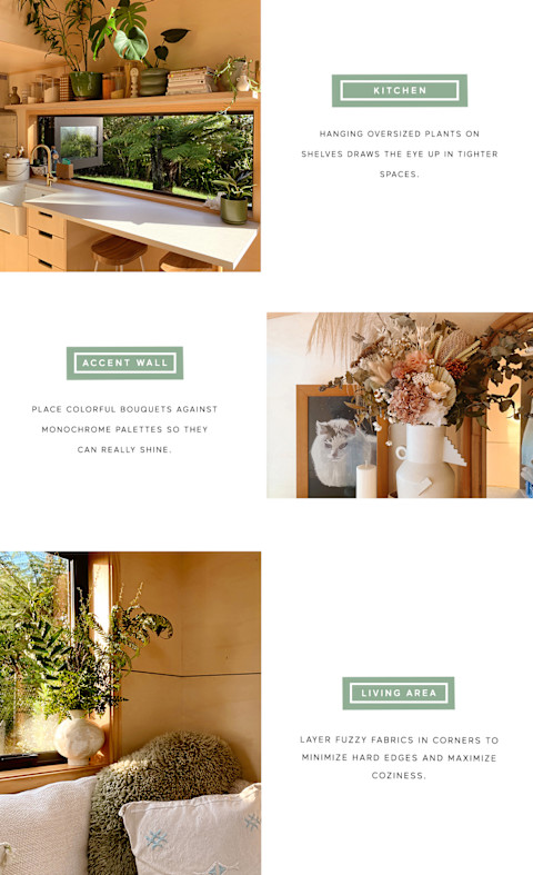 detailed shots of tiny home in new zealand