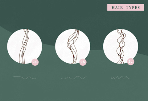 hair type type 2 hair type type 2