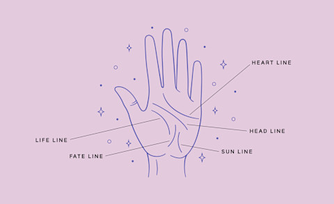 Lines To Look For When Reading Palms Lines To Look For When Reading Palms