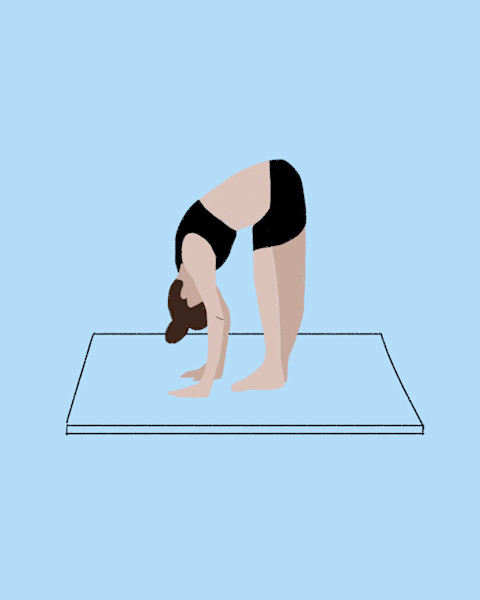 Forward bend hamstring stretch Forward bend hamstring stretch