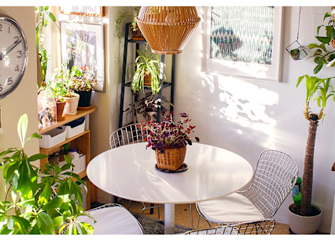 Bertoia chairs in the kitchen of @theaccidentalbohemian Bertoia chairs in the kitchen of @theaccidentalbohemian