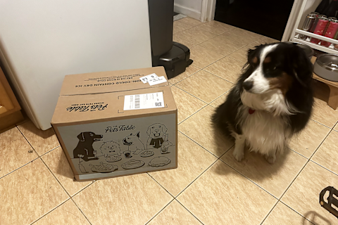 pets table review box arrival