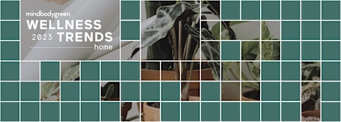 Wellness Trends 2023 home Wellness Trends 2023 home