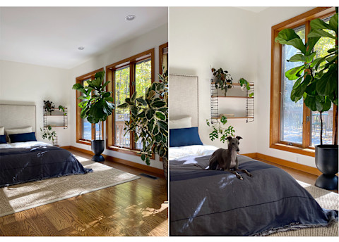 bright bedroom with dog on bed