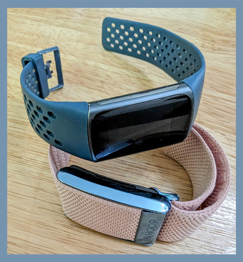 whoop vs. fitbit whoop vs. fitbit