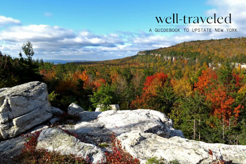 rocky area overlooking a field of trees with red and orange leaves rocky area overlooking a field of trees with red and orange leaves