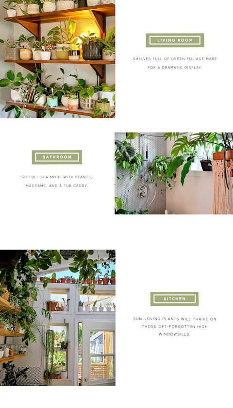 Kitchen shelves filled with plants, shower with herringbone tile and plants, and a kitchen window with plants. 