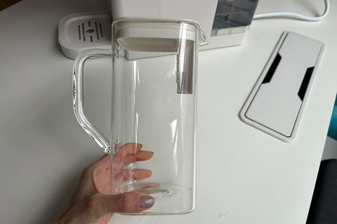 sans water purifier pitcher in writer's hand