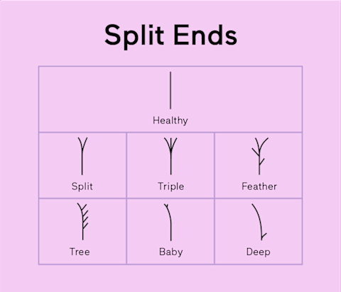 split ends chart split ends chart