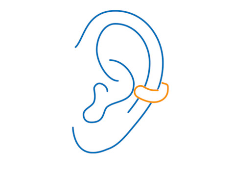 conch piercing conch piercing