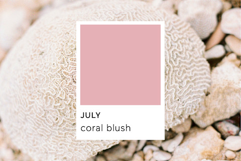 Pantone Coral Blush Pantone Coral Blush