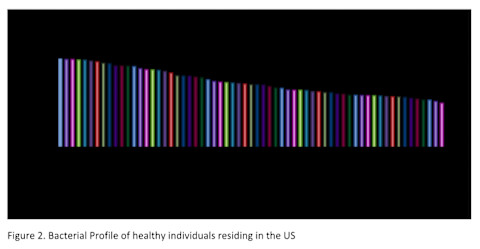 bacterial profile of healthy individuals graph bacterial profile of healthy individuals graph