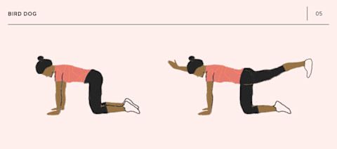 Bird Dog Bodyweight Exercise Bird Dog Bodyweight Exercise