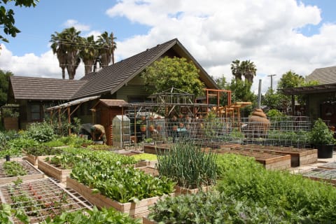 Family Grows 6000 Pounds Of Food A Year In Their Yard - 31