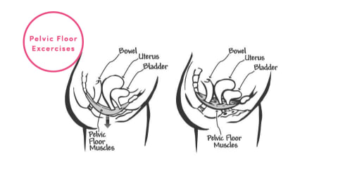 How To Do Kegel Exercises  A Step By Step Guide  From An OB GYN - 46