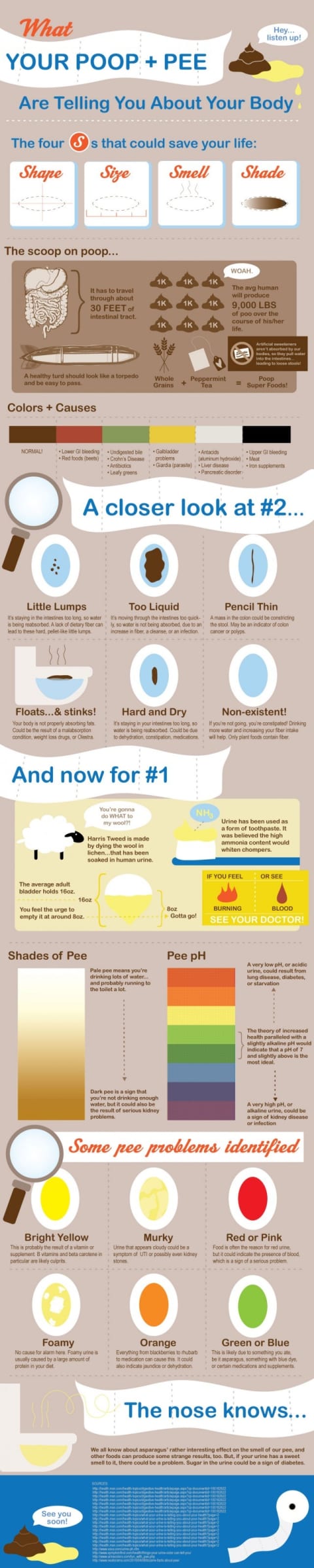 What Your Poo Says About Your Health: Infographic Reveals What The Perfect  Stool Looks Like