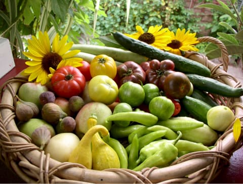 Family Grows 6000 Pounds Of Food A Year In Their Yard - 50