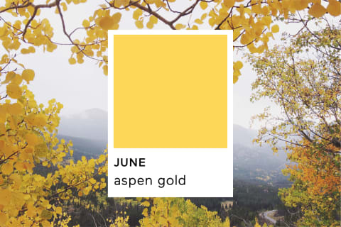 Pantone Aspen Gold