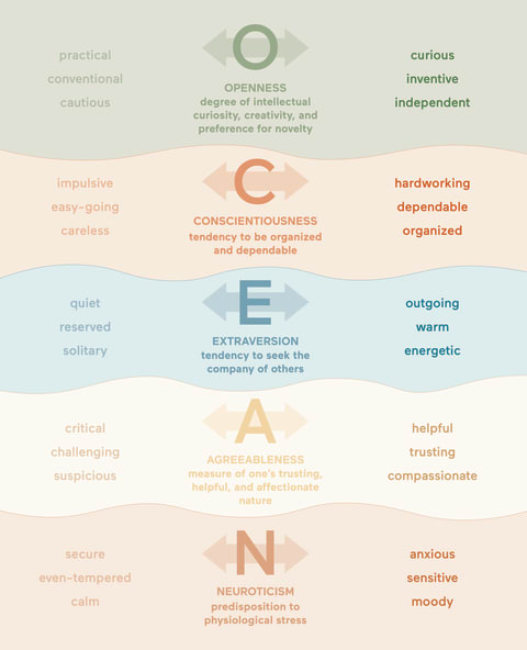 An infographic depicting the Big Five personality traits.