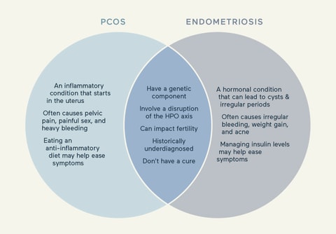 PCOS vs endometriosis ven diagram of similarities and differences