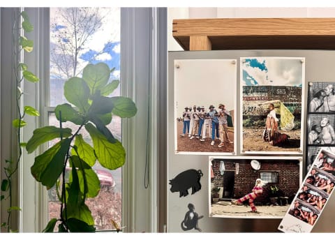 photos on fridge and plant in a brooklyn apartment