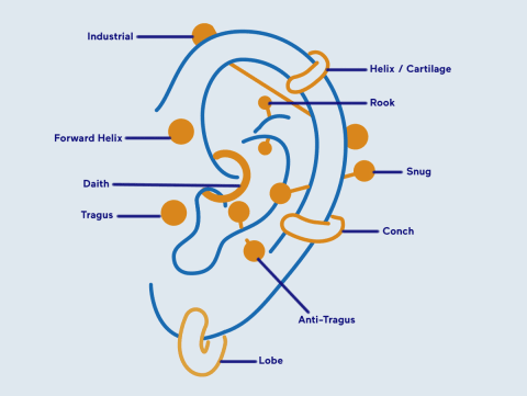 types of ear piercings