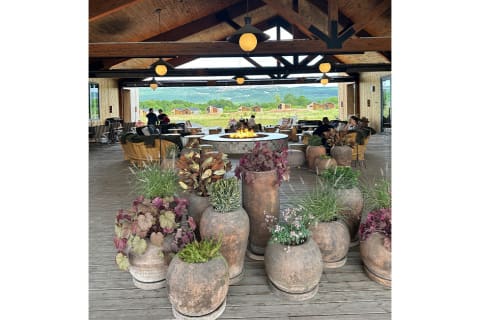 flower pots in front of fire with mountains in the background