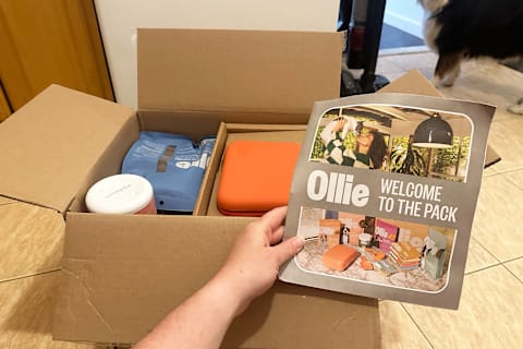 ollie pet food box opened with pamphlet held by tester's hand in image