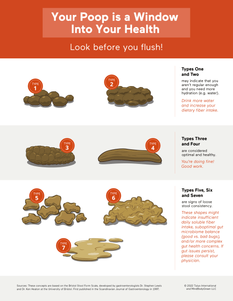 Healthy Poop: Daily Poop Journal | Bowel Movement Health Tracker | Bristol  Type Chart | Food & Stool Log