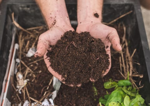 Lasagna Gardening 101  Benefits   A Step By Step Guide - 82