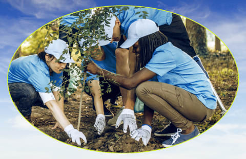 community tree planting initiative 