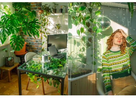 woman in green sweater next to glass table filled with plants