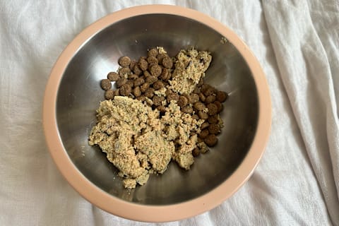 Ollie pet food mixed with dry kibble