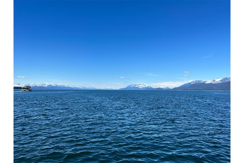 Whale Watching In Juneau, Alaska