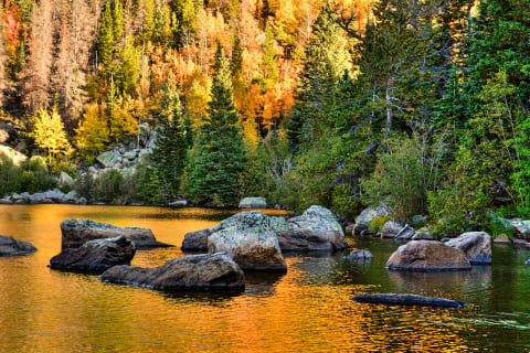 Colorado s Leaves Are Putting On A Show Now  - 65