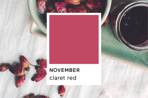 Pantone Claret Red