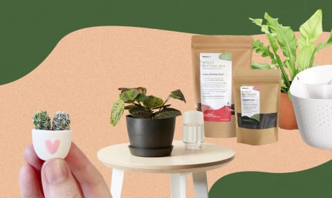 35 Gifts Perfect For The Plant Lover In Your Life - 68