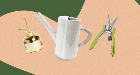 an arrangement of gardening tools: watering can, mister, and scissors