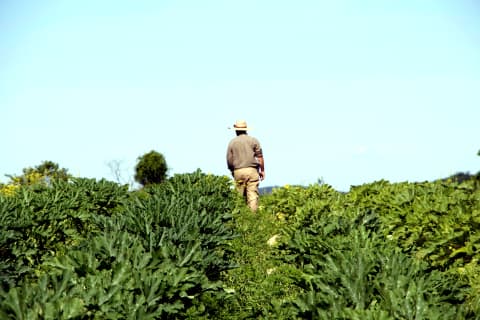 The Full Circle Connection Between Beauty   Agriculture   And Why It Matters More Now Than Ever Before - 65