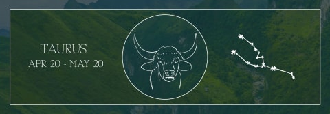 taurus zodiac sign