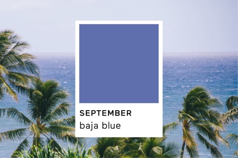 petrol blue pantone - Google Search