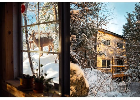 snow-covered cabin and view of deer out the window