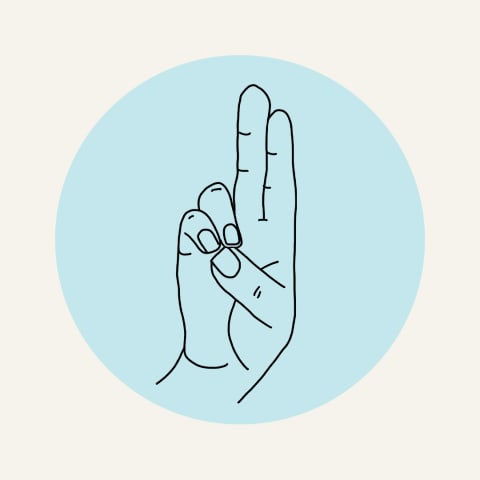 illustration of prana mudra