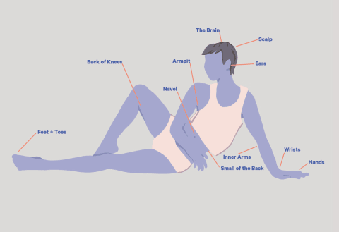 A diagram of various erogenous zones. A diagram of various erogenous zones.