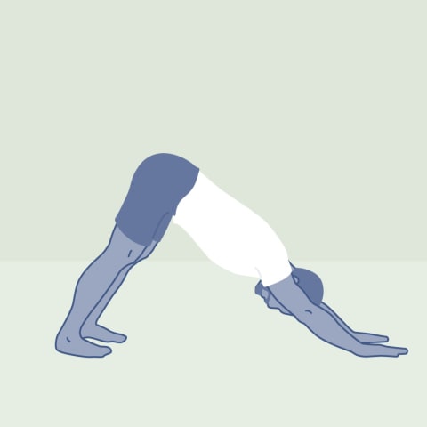 Downward Dog for Muscle Building